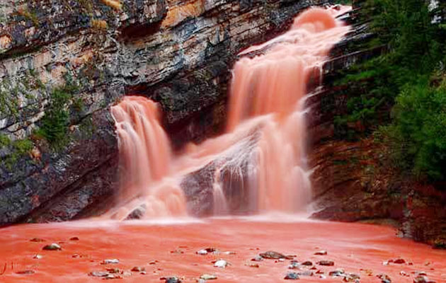 Decaer látigo Arashigaoka Lo más visitado en esta época: Conoce la cascada rosada de Alberta |  CalgaryHispano